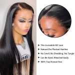 13X4 13X6 Straight HD Lace Wig