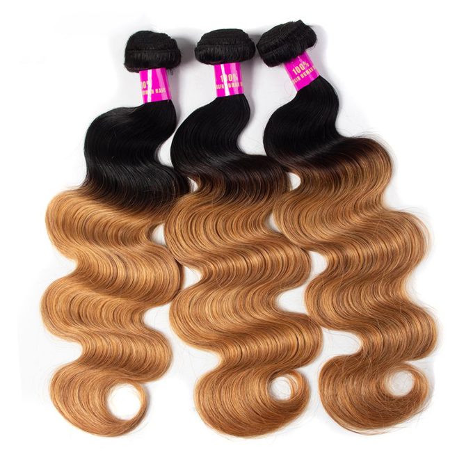 ombre_hair_1b27_ombre_blonde_body (2)