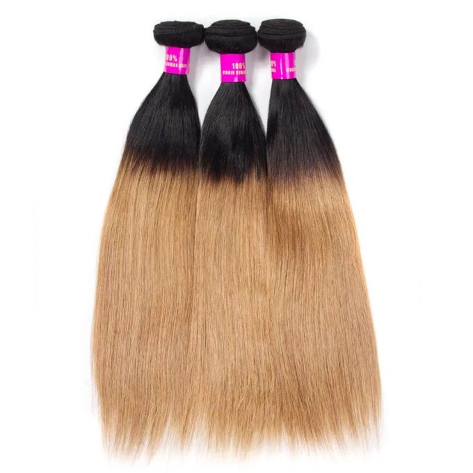 ombre_hair_1b27_ombre_blonde_straight